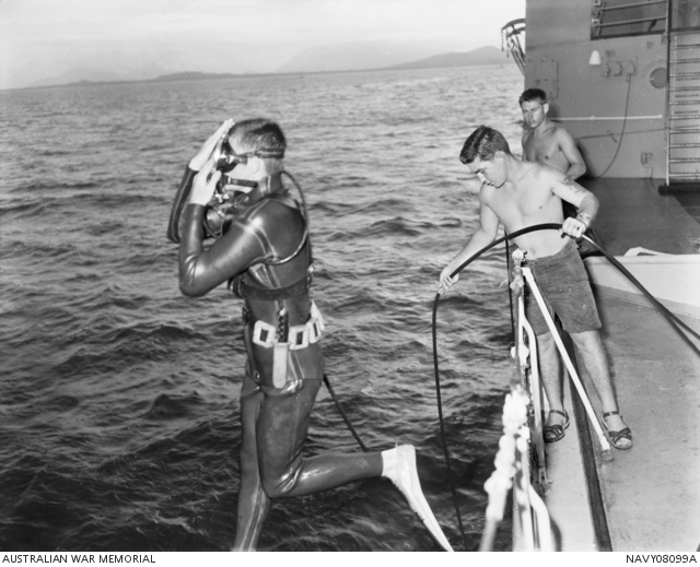Choosing the Right Diver Service for Ship Maintenance and Repairs