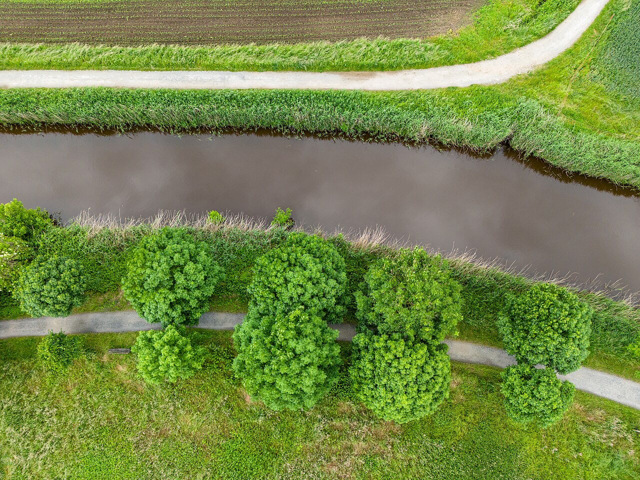 Germany's Economy Threatened by Rhine Low Water Levels