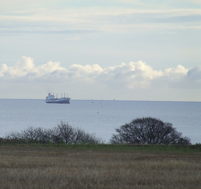 IMO Net-Zero Framework Holds Ground in Latest Climate Talks