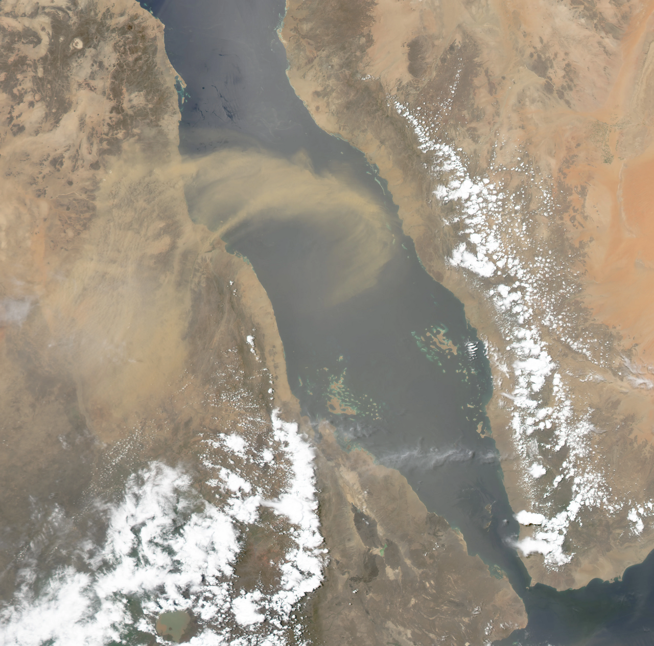 Six crew killed in Red Sea attack, sparking safety concerns