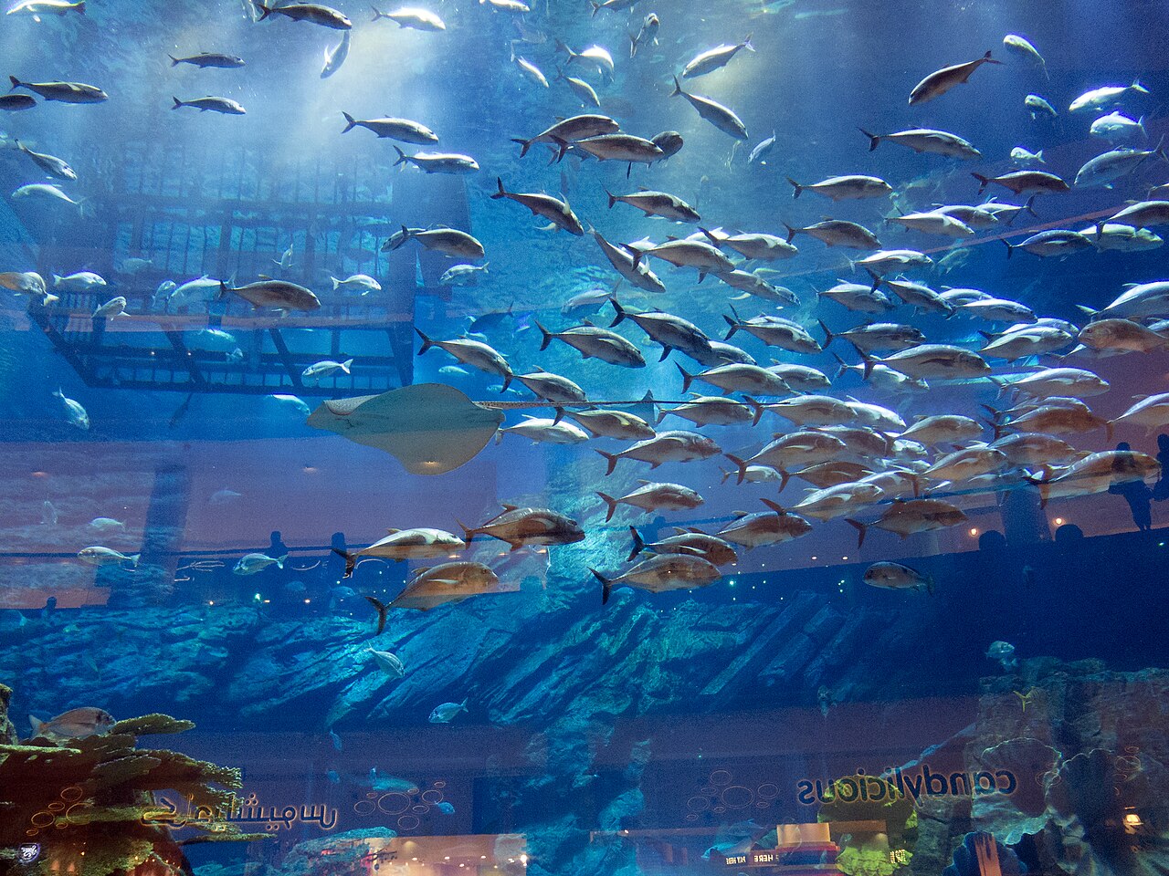 Stop killing transport workers: ITF condemns attacks on seafarers in Strait of Hormuz and 